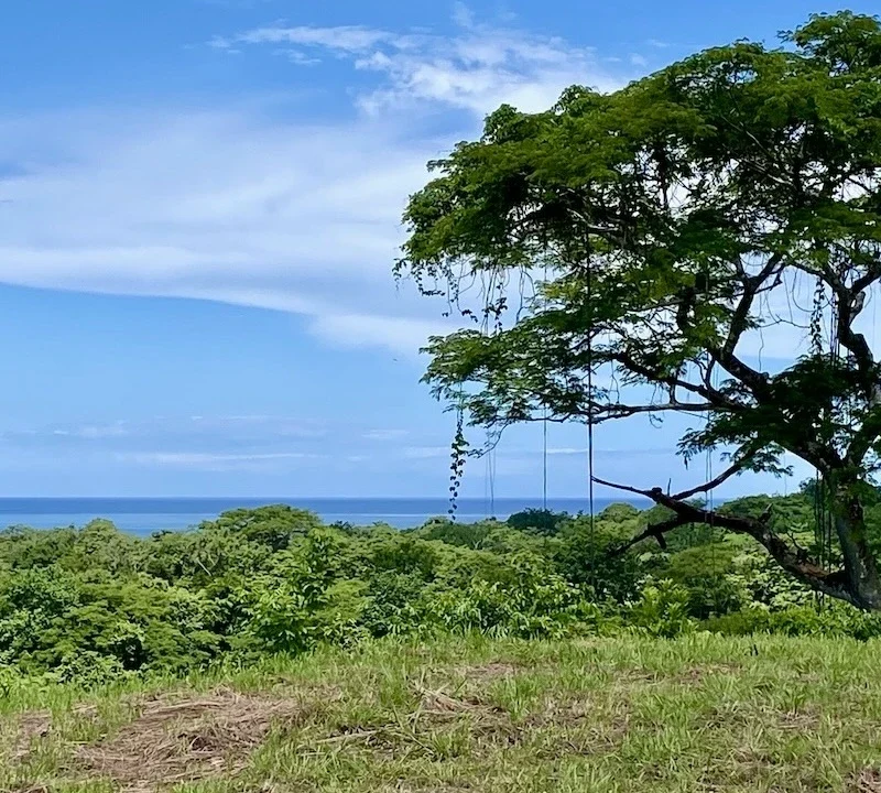 Altamira 6.4 Ha