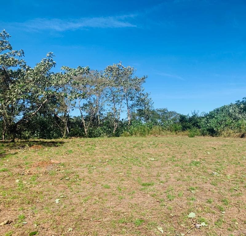 Hidden Spot: A flat lot