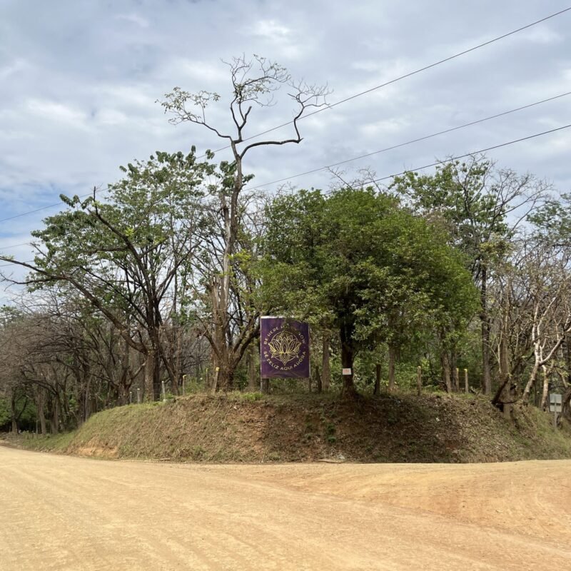 Coastal Crossroad - Prime Commercial Property on Route 160