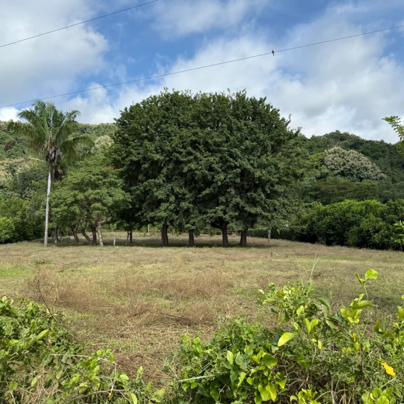 Río Montaña | Build-Ready Land