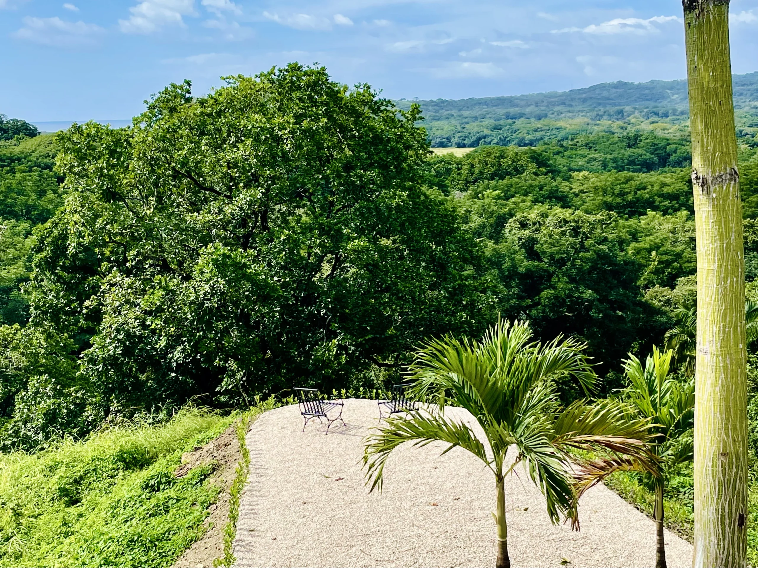Casa Divina | Ocean View Villa - Image 44