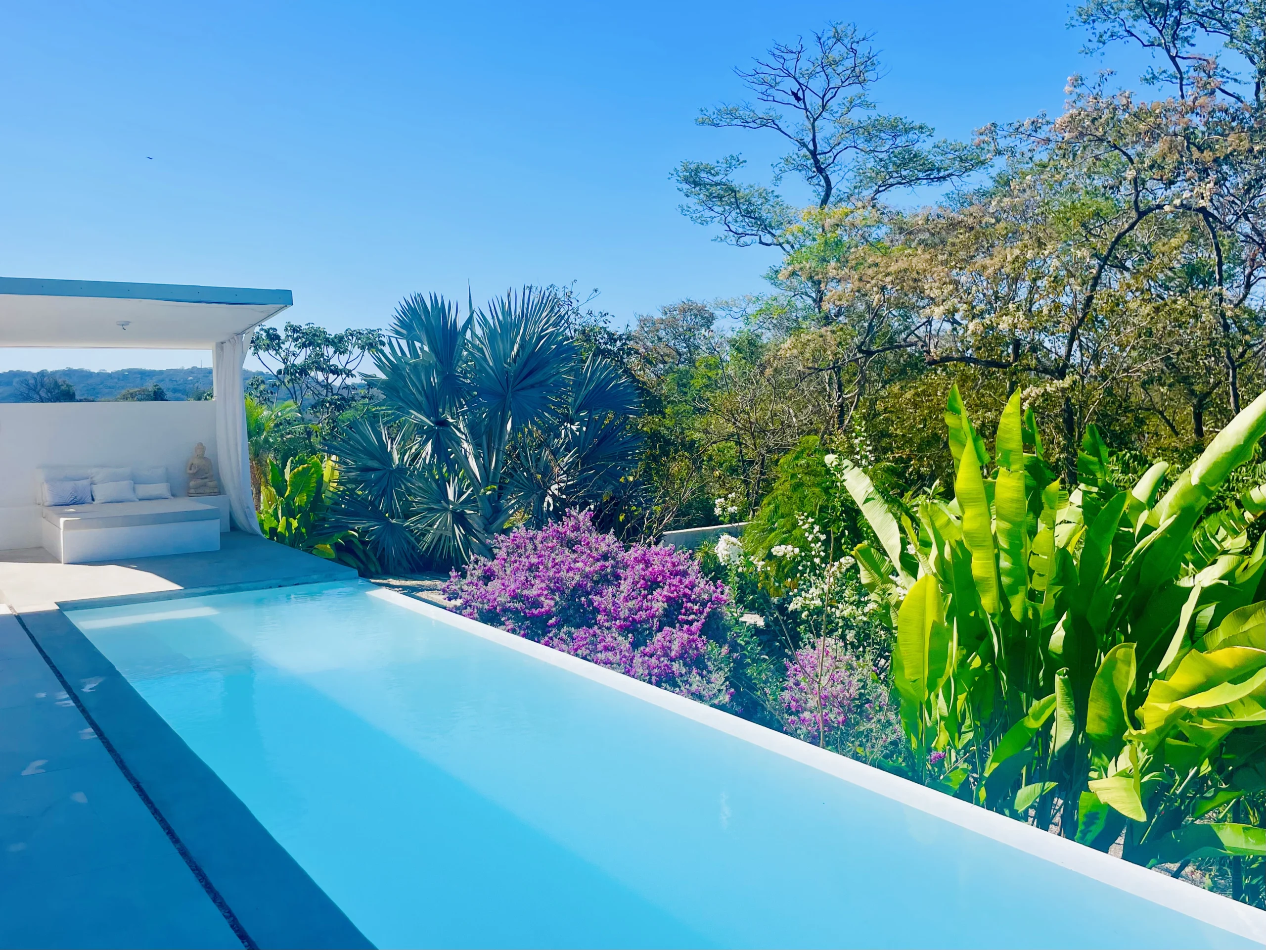 Casa Divina | Ocean View Villa - Image 9
